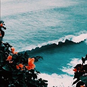 Meet your Posher, Molly